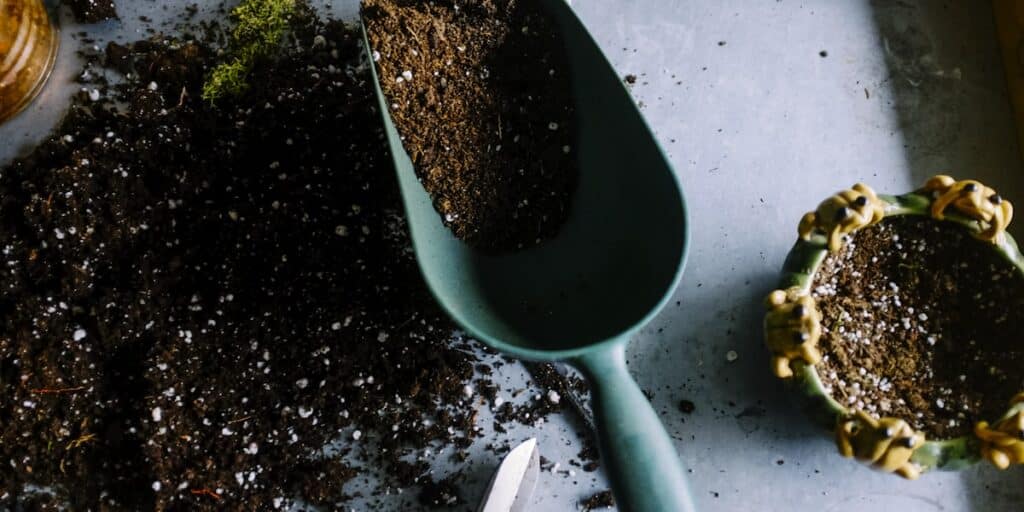 Hands planting in a garden bed during spring yard maintenance